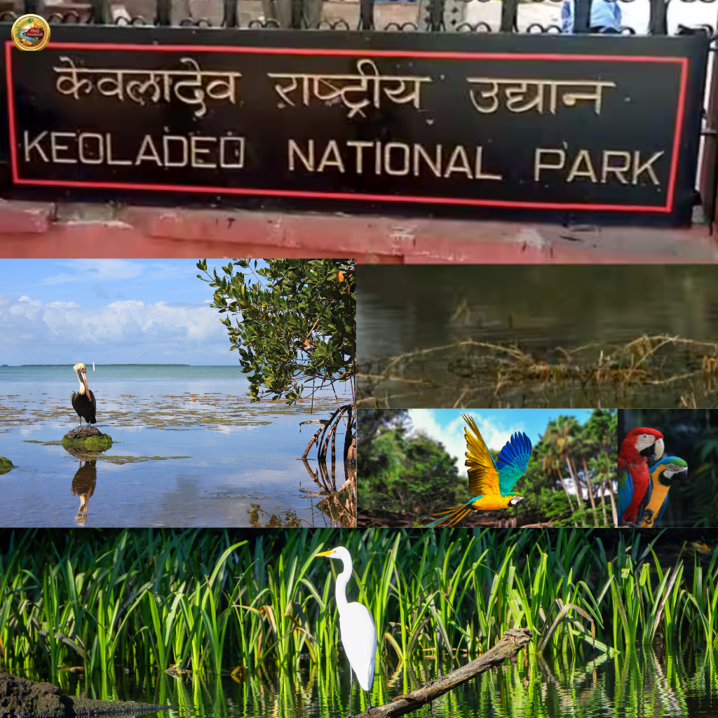 Keoladeo National Park Bharatpur